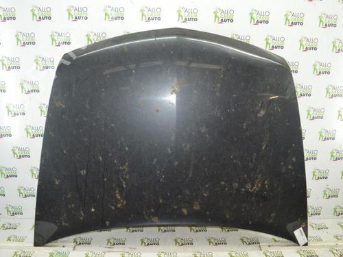 Used Hood RENAULT VEL SATIS (BJ0_) 2.2 dCi (BJ0E, BJ0F, BJ0G, BJ0H) (140 hp) 25071380