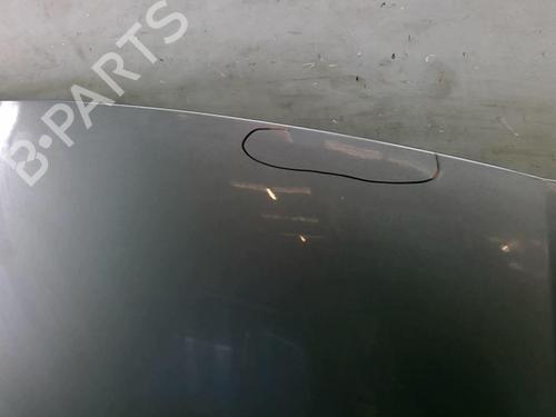 Capot Capot FIAT BRAVO II (198_) 1.6 D Multijet (198AXH1B) (105 hp) 25110582 25110582
