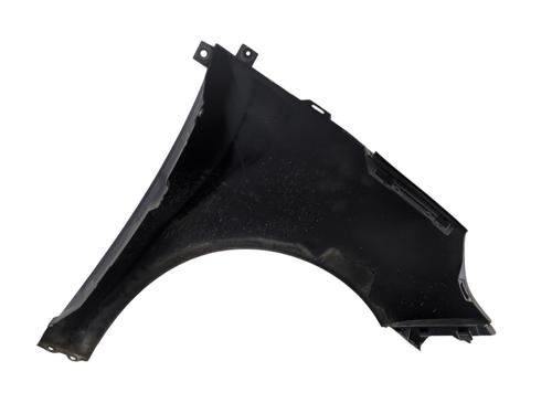 Left front fenders RENAULT SCÉNIC III (JZ0/1_) 1.5 dCi | BP32113579C41
