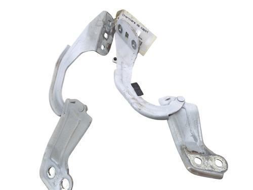 Hinge/Door check strap FORD FOCUS III  | BP25098687C146 