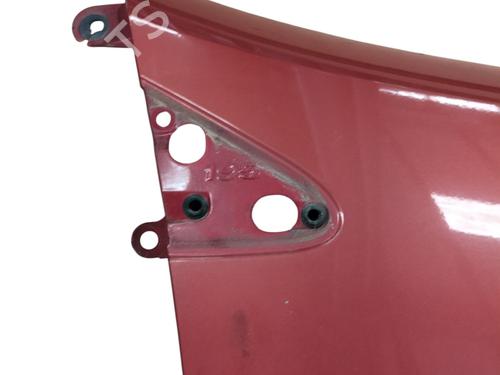 Right front fenders RENAULT CLIO III (BR0/1, CR0/1) 1.5 dCi (BR17, CR17) | BP26388333C42 