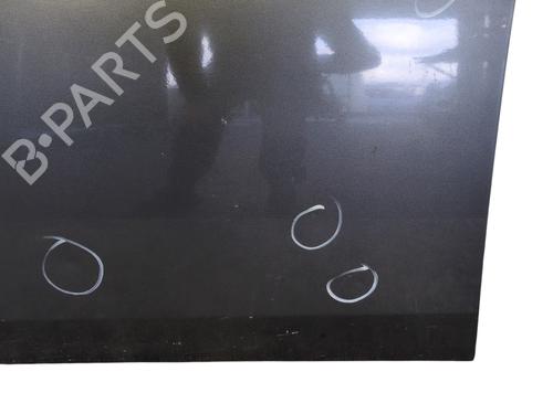 Left front door NISSAN PRIMERA Hatchback (P12) 1.9 dCi | BP30731881C2 