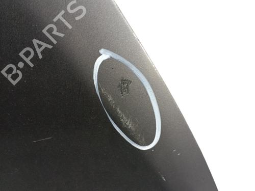 Hood RENAULT TRAFIC III Van (FG_) 1.6 dCi 115 (FGMD) | BP31377077C1 