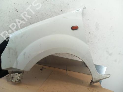 Left front fenders RENAULT KANGOO (KC0/1_) 1.5 dCi | BP25060188C41 