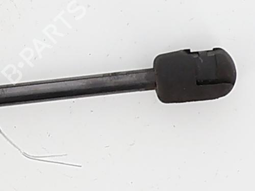hood-lift-support-renault-scenic-iii-jz01_-2008-2009-2010-2011-2012-2013-2014-2015-2016-35891242 main image
