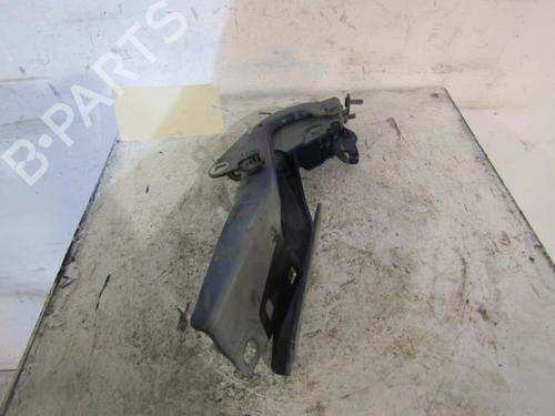 Used Hinge/Door check strap RENAULT MEGANE III Grandtour (KZ0/1) 1.5 dCi (KZ09, KZ0D, KZ1G, KZ29, KZ14, KZ1W, KZ10, KZ1F,... (110 hp) 25063924