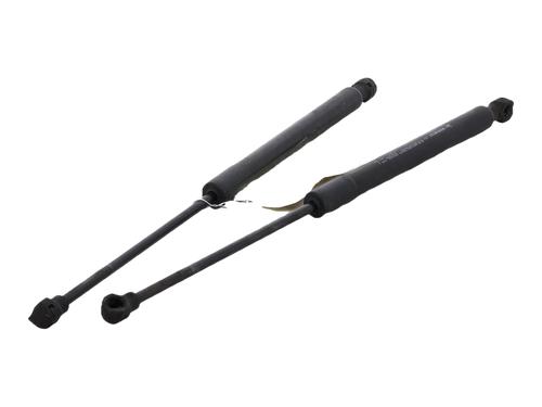 hood-lift-support-renault-megane-iv-hatchback-b9amn_-2015-40241386 main image