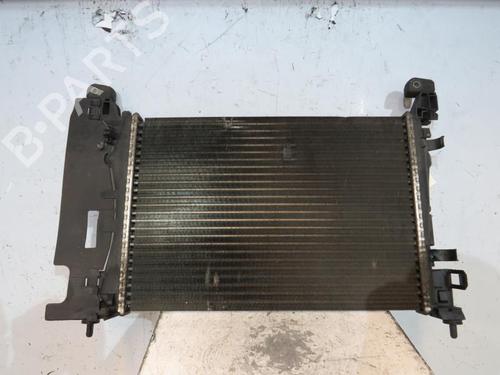 Køler FIAT GRANDE PUNTO (199_) 1.2 (65 hp) 25067202