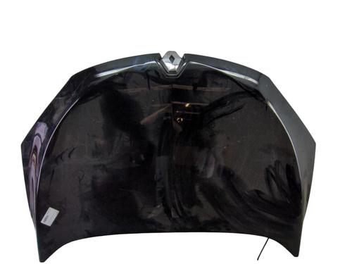 Hood RENAULT MEGANE III Coupe (DZ0/1_) 1.9 dCi (DZ0N, DZ0J, DZ1J, DZ1K) | BP27172249C1 