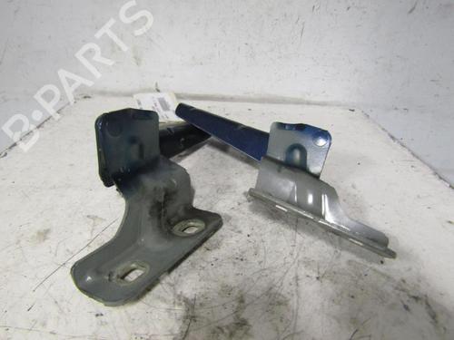 Used Hinge/Door check strap RENAULT MEGANE II Estate (KM0/1_) [2003-2012]  25064510