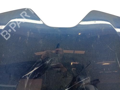 Used Hood RENAULT SCÉNIC IV (J9_) 1.7 Blue dCi 120 (J9A7, J9A8) (120 hp) 29513705