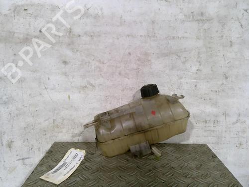 Expansion tank RENAULT KANGOO Express (FW0/1_) 1.5 dCi 90 (FW0G, FW05, FW08, FW11) | BP25068203C120 