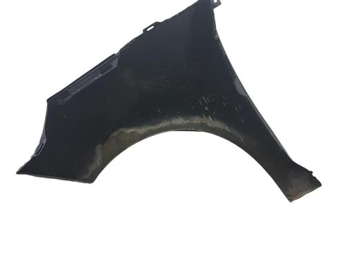 Right front fenders RENAULT SCÉNIC III (JZ0/1_) 1.5 dCi | BP26293666C42 