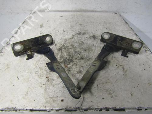 hingedoor-check-strap-dacia-logan-ls_-2004-25090665 main image