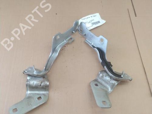 Used Hinge/Door check strap RENAULT CLIO III (BR0/1, CR0/1) 1.6 16V (BR09, BR0T, CR09, CR0T) (88 hp) 25101351