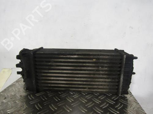 Intercooler CITROËN XSARA PICASSO (N68) 1.6 HDi | BP25084925M30 