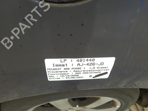 Interior roof light PEUGEOT 308 I (4A_, 4C_) 1.6 HDi | BP25105393I8 