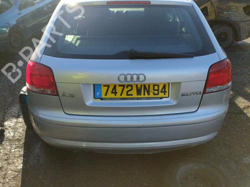 Tailgate lift support AUDI A3 (8P1)  | BP25089706C138 