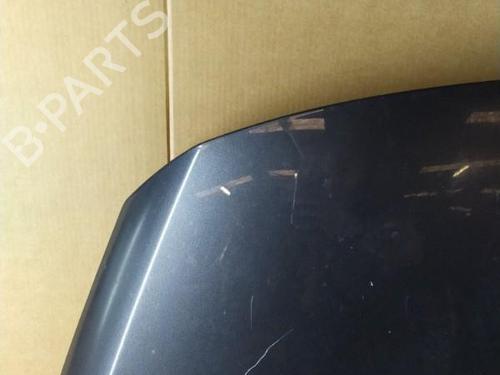 Used Hood PEUGEOT 3008 I MPV (0U_) 1.6 HDi (109 hp) 25074883