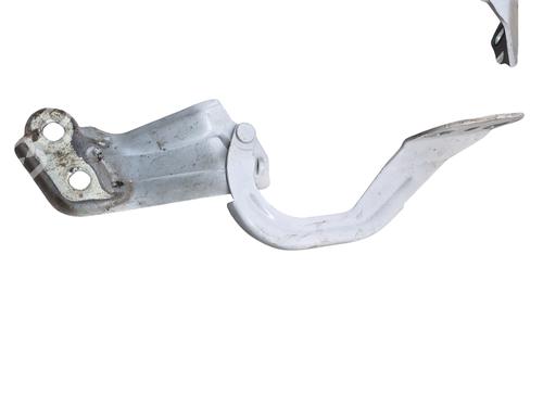 Hinge/Door check strap FORD FOCUS III  | BP25098687C146 