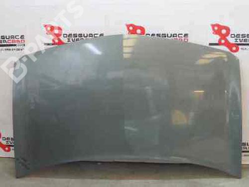 Used Hood RENAULT MEGANE II (BM0/1_, CM0/1_) 1.9 dCi (BM0G, CM0G) (120 hp) 195503
