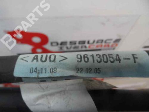 Gear lever RENAULT MEGANE III Hatchback (BZ0/1_, B3_) 1.5 dCi | BP7438751M90 