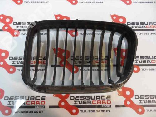 Grill BMW 3 (E46) 320 d | BP1339682C40 