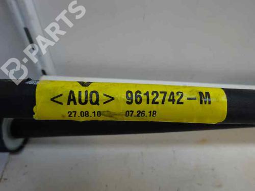 Gear lever RENAULT MEGANE III Hatchback (BZ0/1_, B3_) 1.5 dCi | BP7438755M90 