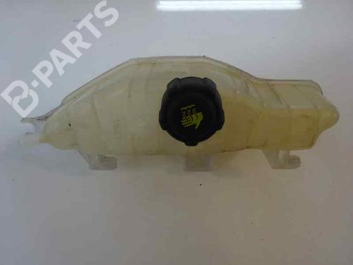 Used Expansion tank RENAULT CLIO III (BR0/1, CR0/1) 1.5 dCi (BR17, CR17) (86 hp) 1919103