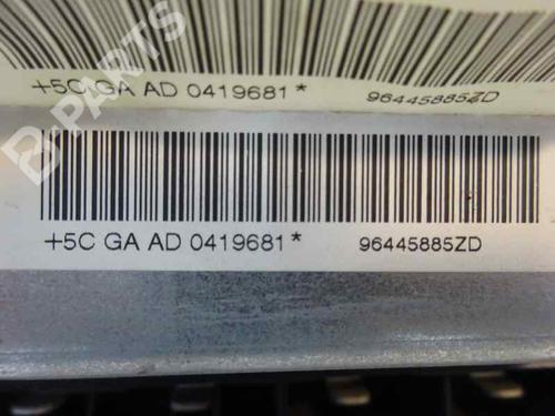 Driver airbag PEUGEOT 407 SW (6E_, 6D_) 2.0 HDi 135 | BP2517120C9 