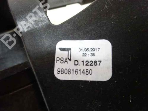 Gear lever PEUGEOT 2008 I (CU_)  | BP7438760M90 