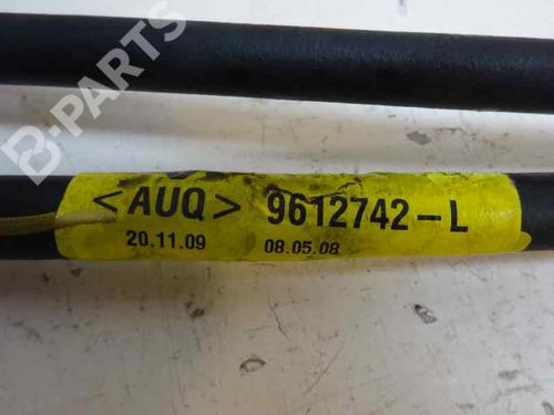Gear lever RENAULT MEGANE III Hatchback (BZ0/1_, B3_) 1.5 dCi | BP7438756M90 
