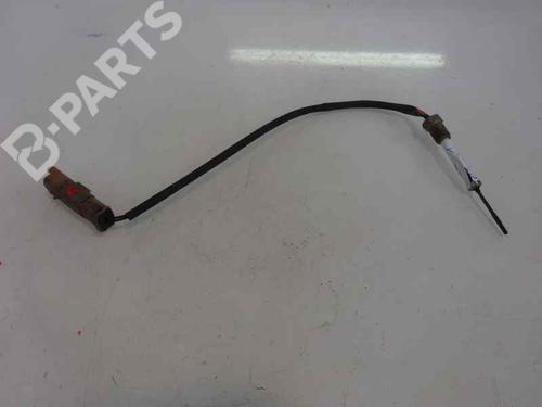 Elektronisk sensor CITROËN C3 II (SC_) 1.4 HDi 70 (SC8HZC, SC8HR0, SC8HP4) (68 hp) 8174453