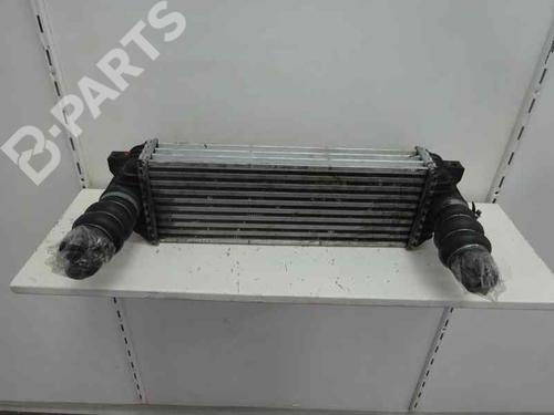 Used Intercooler FORD TRANSIT CONNECT (P65_, P70_, P80_) 1.8 TDCi (90 hp) 6064688
