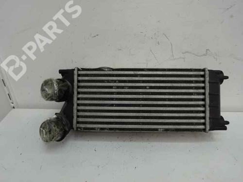 Used Intercooler CITROËN C4 II (NC_) 1.6 HDi 115 (114 hp) 7050118