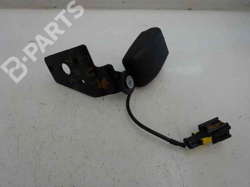 Rear left belt tensioner CITROËN C4 II (NC_) 1.6 HDi 90 (92 hp) 2012 | 1 |