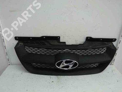 Grill / Grid HYUNDAI SONATA V (NF) 2.4 (162 hp) 2008 | 1 |