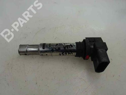 Used Ignition coil SEAT IBIZA III (6L1) 1.4 16V (75 hp) 8079601