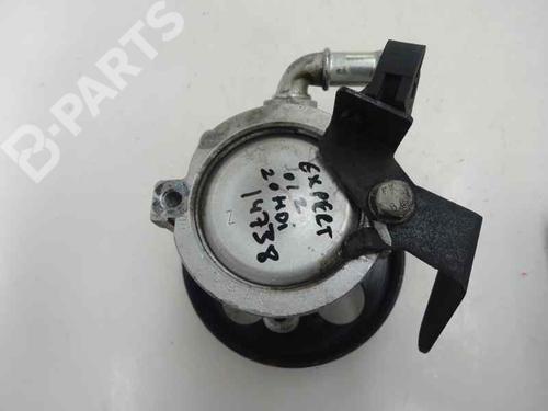 Steering pump PEUGEOT EXPERT (224_)  | BP8256988M99 