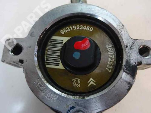 Steering pump CITROËN XSARA (N1) 1.9 D | BP8381290M99 