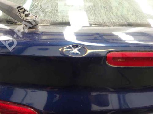 Tailgate RENAULT LAGUNA II (BG0/1_) 1.9 dCi (BG08, BG0G) | BP10115355C6 