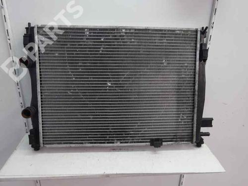 Water radiator NISSAN QASHQAI / QASHQAI +2 I (J10, NJ10, JJ10E) 1.5 dCi (106 hp) 10342413