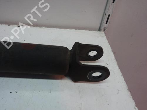 Used Left rear shock absorber Left rear shock absorber 11022747 11022747