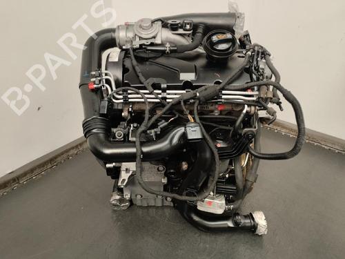 Motor SEAT LEON (1P1) 1.9 TDI (105 hp) 12309347