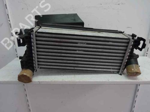 Intercooler FORD FOCUS III [2010-2020]  8124798