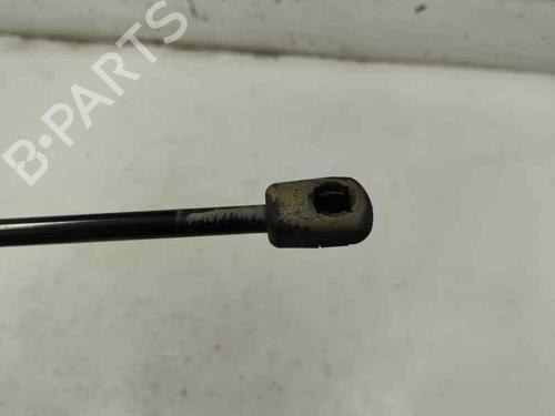 Tailgate lift support SKODA FABIA III (NJ3) 1.0 | BP29134570C138