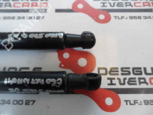 Hood lift support BMW 5 (E60)  | BP14172423C139 