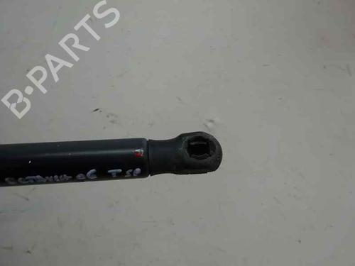 Tailgate lift support SKODA OCTAVIA II (1Z3) 1.9 TDI | BP14168942C138 