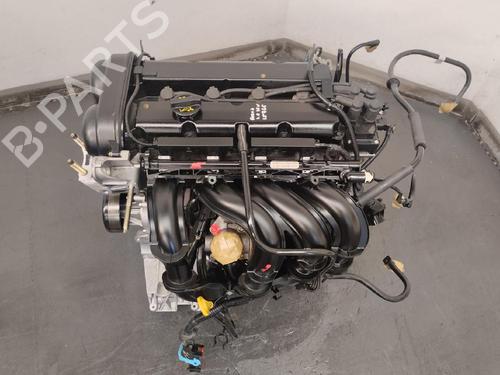 Used Engine FORD FOCUS II (DA_, HCP, DP) 1.6 (100 hp) 19482969