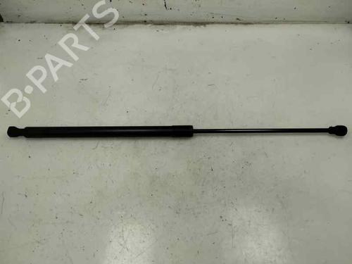 Used Hood lift support DACIA SANDERO II TCe 90 (B8M1, B8MA, B8AC) (90 hp) 27526810